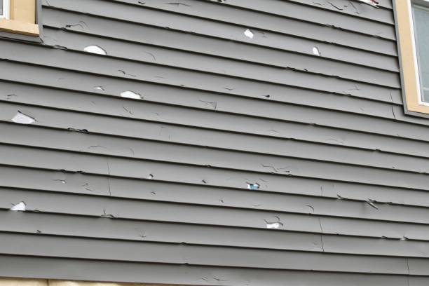 Best Vinyl Siding Installation  in Irvine, CA